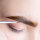 Lash/Brow Tint